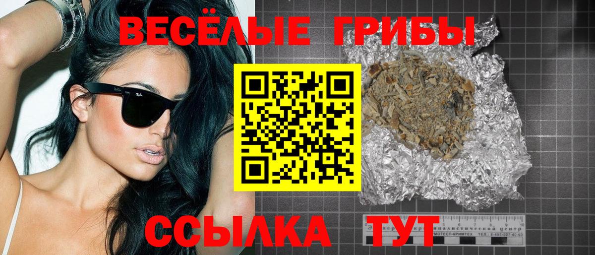 Ефремов  Псилоцибиновые грибы Psilocybine cubensis  Вход с VPN 